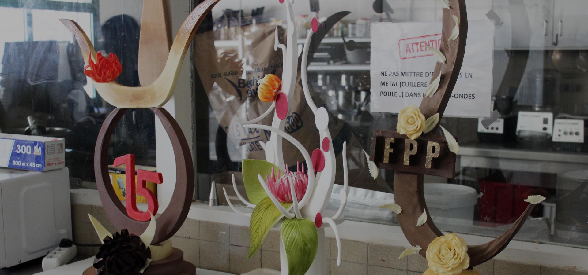 I.F.P.P. du Cantal - Aurillac